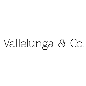 Logo | Vallenlunga & Co.